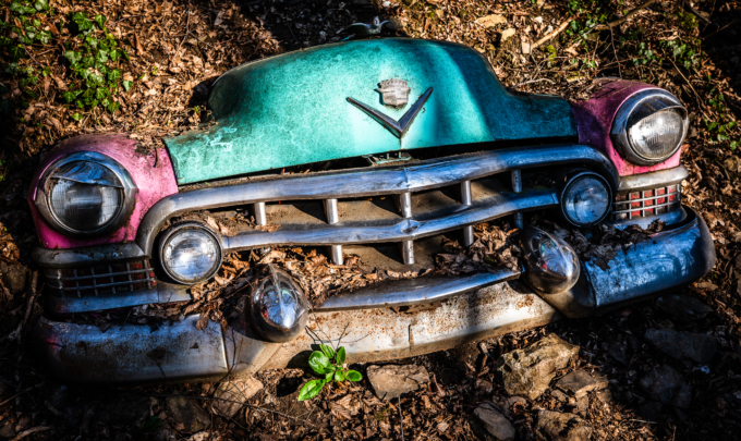 Autoskulp (004 von 010)L1020485