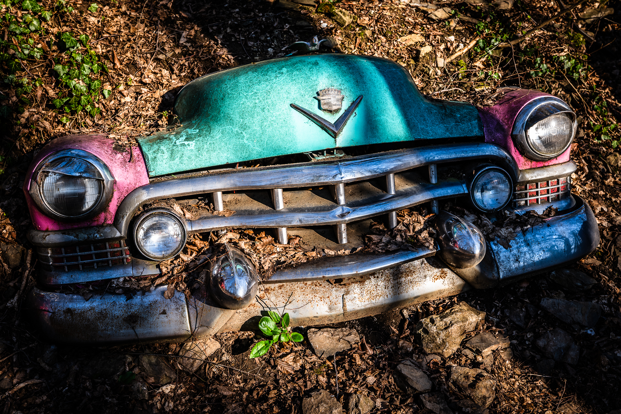 Autoskulp (004 von 010)L1020485