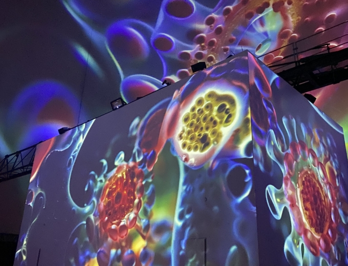 Foto 23.03.26, 16 02 24 ORIGINS - Die Schönheit des Lebens