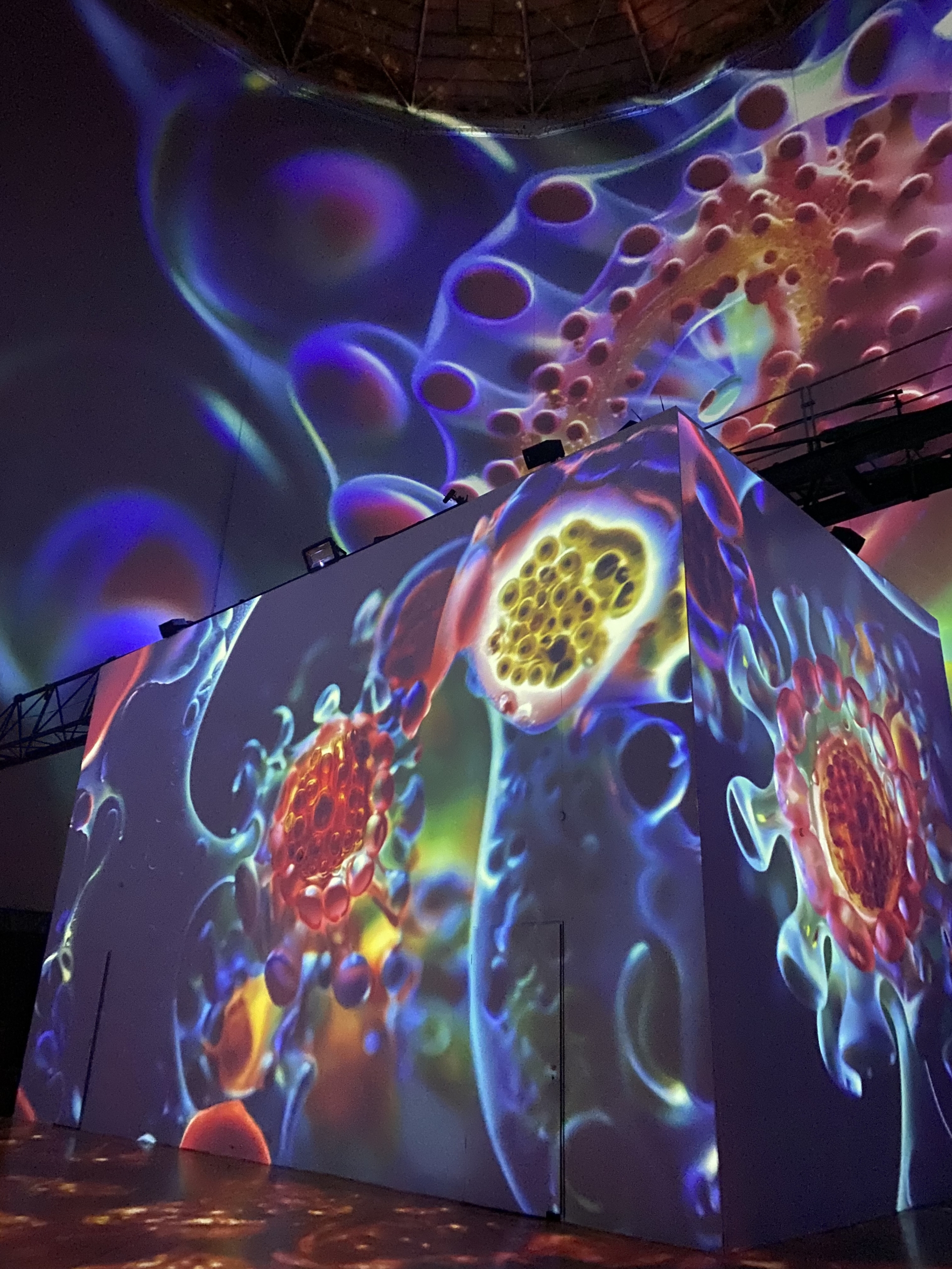 Foto 23.03.26, 16 02 24 ORIGINS - Die Schönheit des Lebens