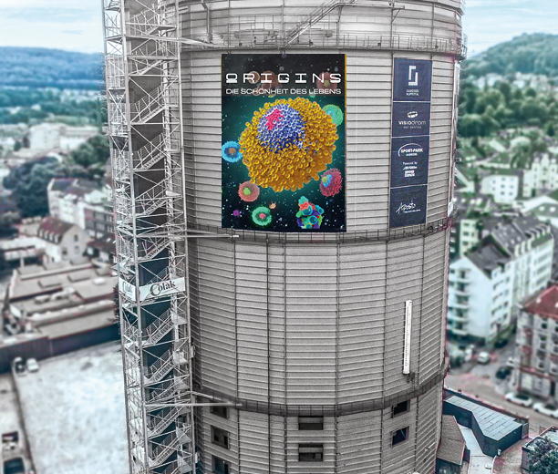 banner-montage_FINAL4